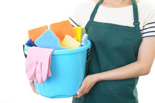 Professional turnover cleaning process for a Richmond apartment or house