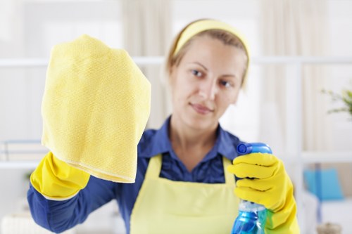 Professional steam carpet cleaning equipment in a Richmond home