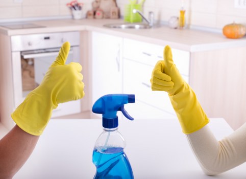 Carpet cleaning team focusing on recycling and sustainable waste sorting in Richmond