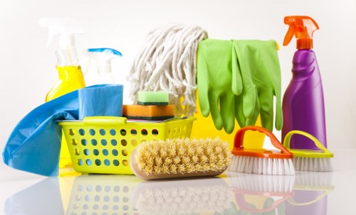 Deep cleaning process targeting lingering pet odours in a Richmond home