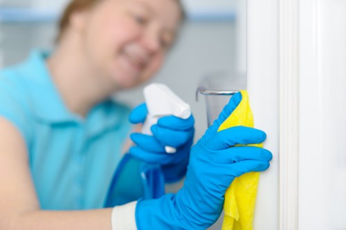 Carpet cleaning service for homes and businesses in Richmond