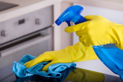 Deep cleaning of a kitchen oven with attention to glass, racks, and trays