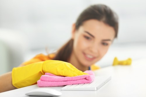Professional glass, frame, and sill cleaning service