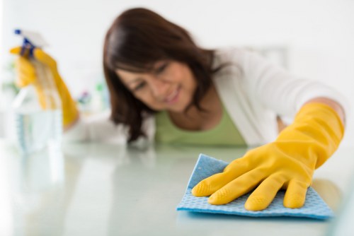 Liability and service standards section for cleaners