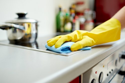 Local domestic cleaning service covering Richmond and nearby areas
