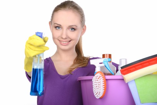 Local mattress cleaning service for Richmond flats and houses