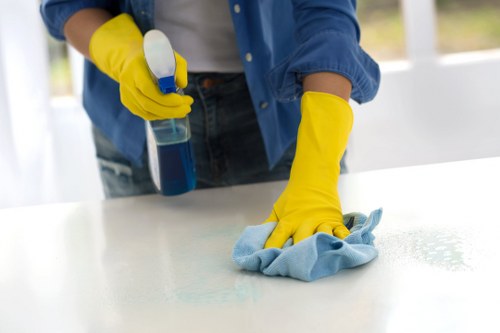 Detailed bathroom deep cleaning in a Richmond property
